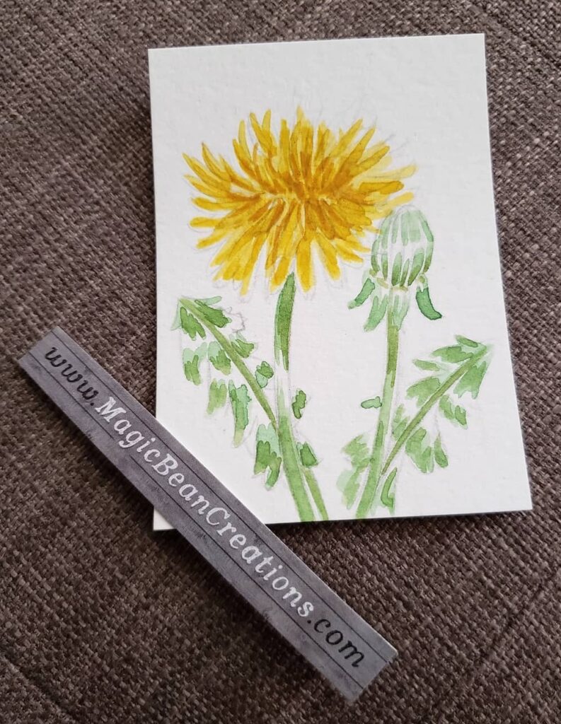 Dandelion watercolour mini illustration