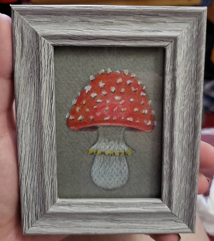 Fly agaric mushroom mini illustrated in colour pencil