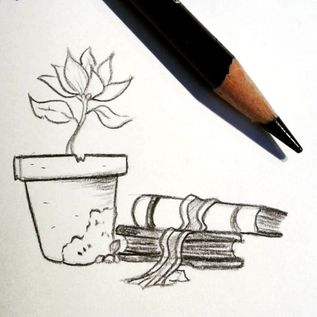 A tiny sketch of a flowerpot with thriving plant and a stack of books beside with physical pencil in shot.